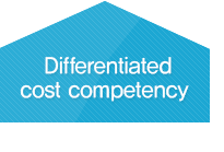 Differentiated cost competency