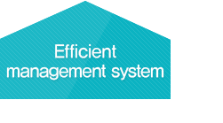 Efficient management system