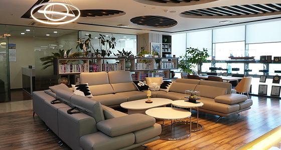 Shinjo Logitech Office View